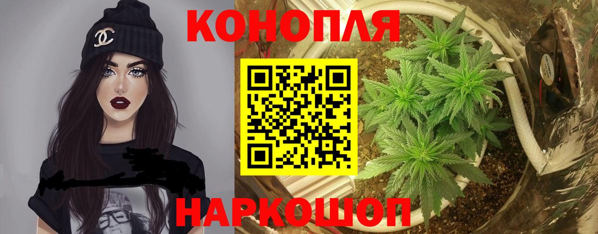 Бошки марихуана индика  Марихуана OG Kush  Вход с VPN  Соликамск  Марихуана гибрид  Канабис сатива 